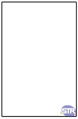 Form WHX Plain White Card